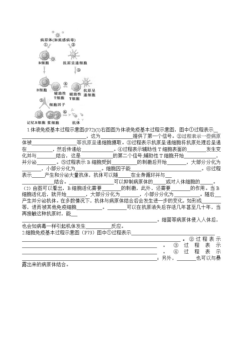 第4章 免疫调节（填空版）第2页