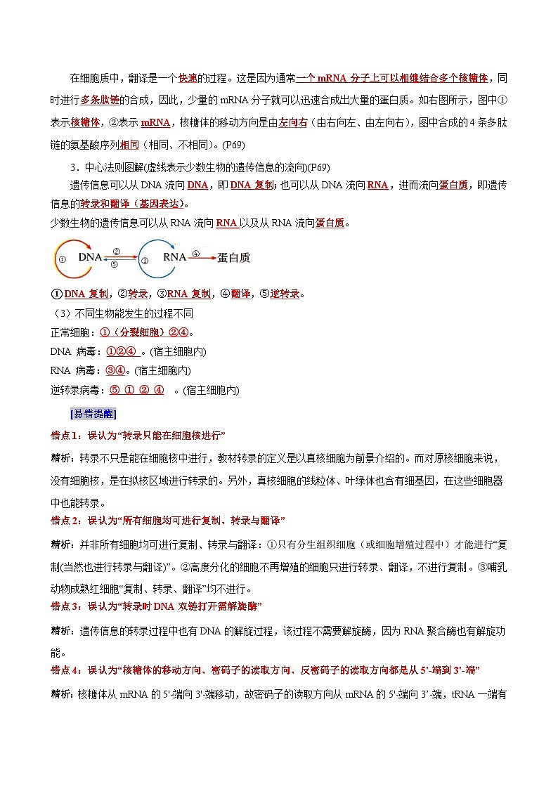 第4章 基因的表达（背诵版）第2页