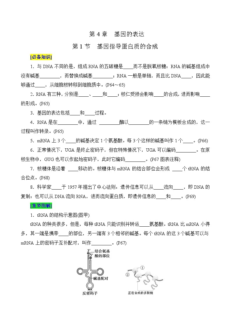 第4章 基因的表达（填空版）第1页