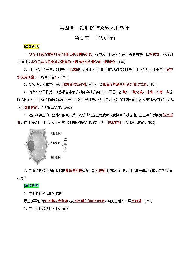 第4章 细胞的物质输入和输出（背诵版）第1页