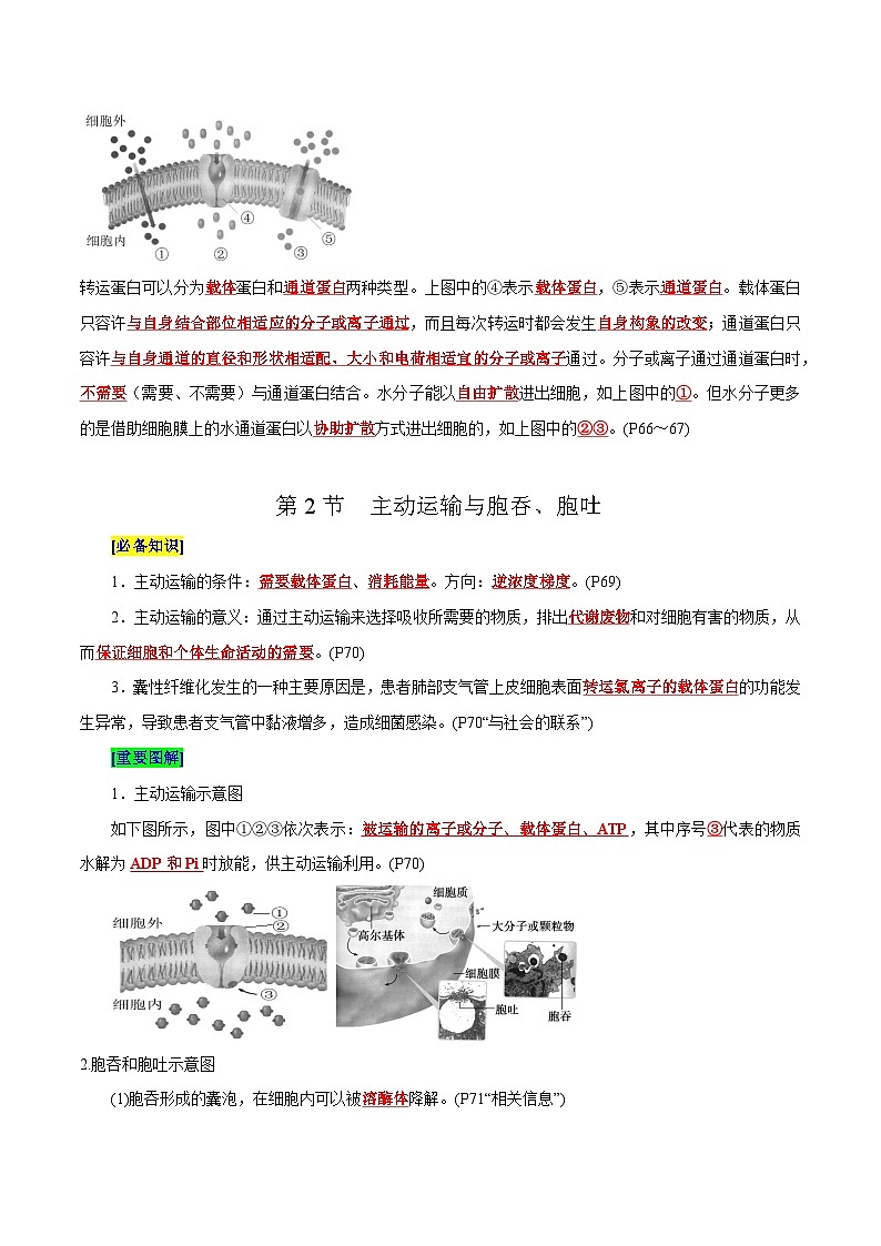 第4章 细胞的物质输入和输出（背诵版）第2页