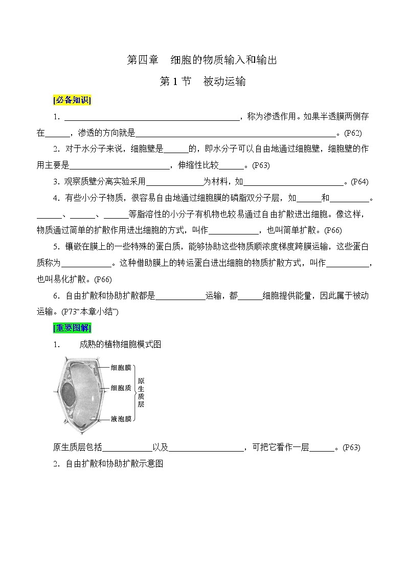 第4章 细胞的物质输入和输出（填空版）第1页