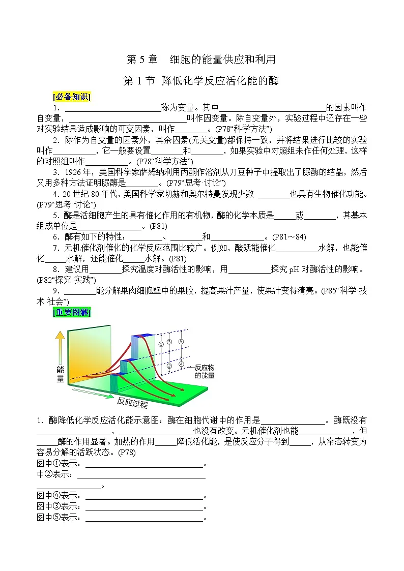 第5章 细胞的能量供应和利用（填空版）第1页