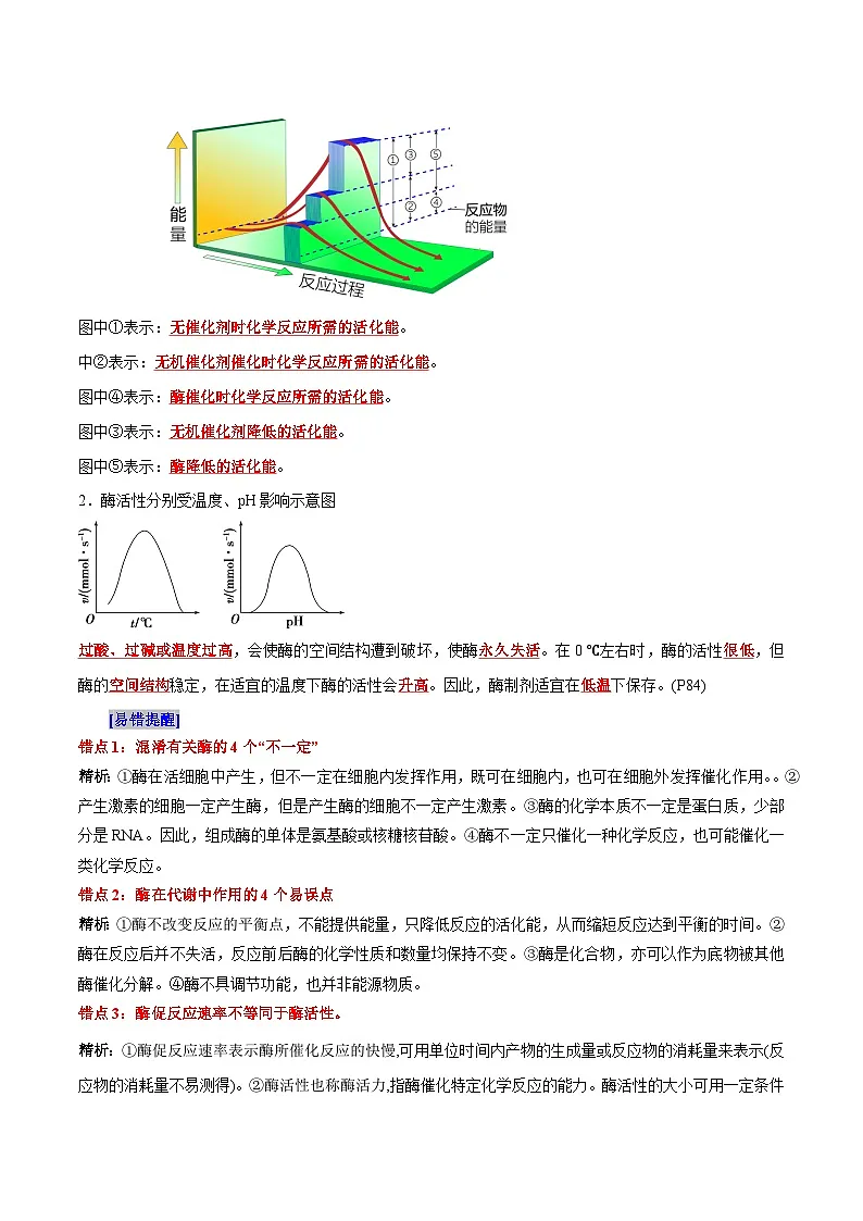 第5章 细胞的能量供应和利用（背诵版）第2页