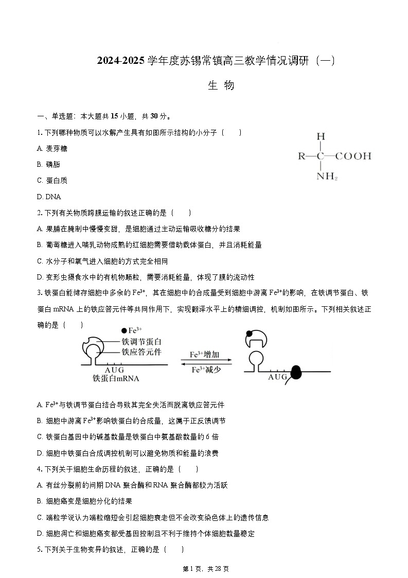 【精品解析】2025届江苏省苏州市、无锡市、常州市、镇江市高三一模 生物试题及答案解析第1页
