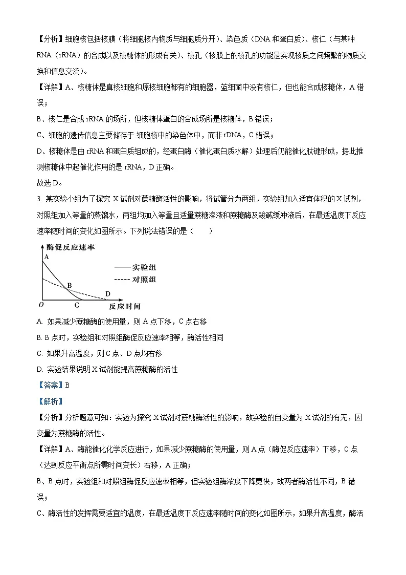 湖北省咸宁市2023-2024学年高二下学期期末考试生物试题 含解析第2页
