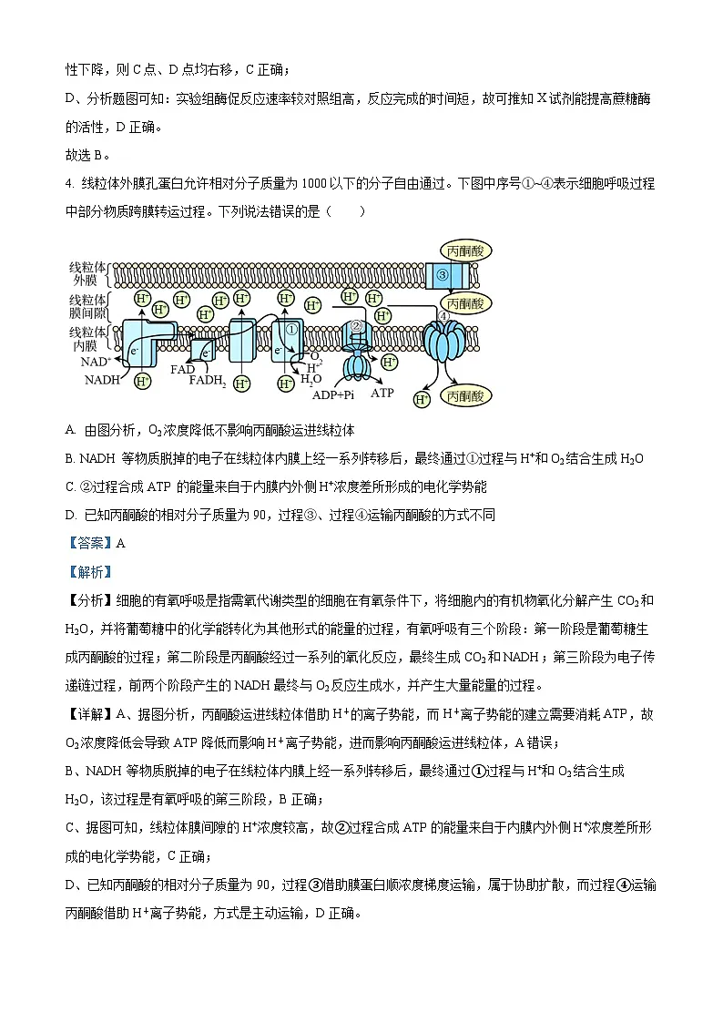 湖北省咸宁市2023-2024学年高二下学期期末考试生物试题 含解析第3页