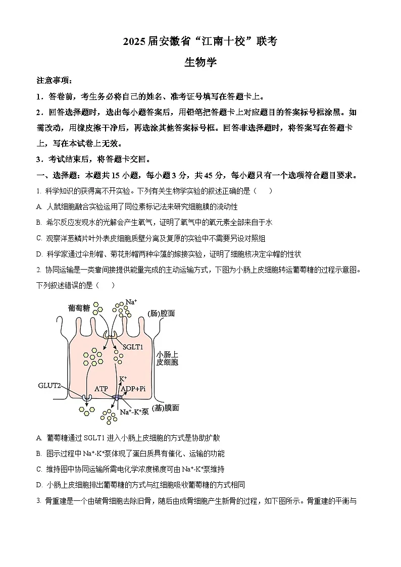 2025届安徽省”江南十校“高三下学期联考生物试题 Word版无答案第1页