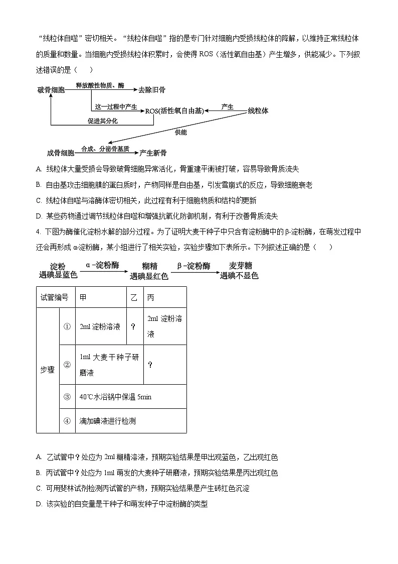 2025届安徽省”江南十校“高三下学期联考生物试题 Word版无答案第2页