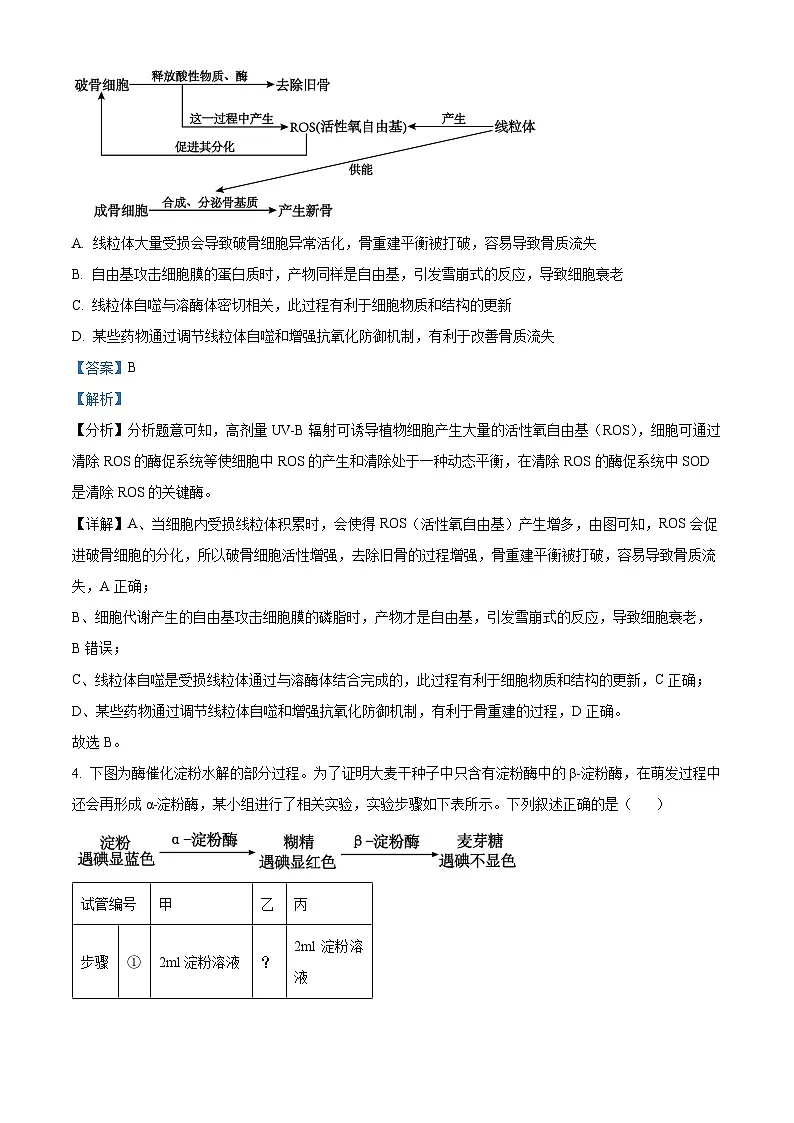 2025届安徽省”江南十校“高三下学期联考生物试题 Word版含解析第3页