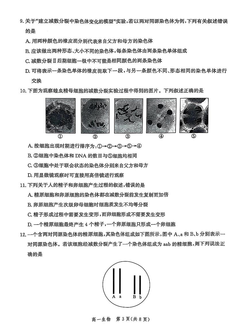 河北省省级示范高中联合测评2024-2025学年高一下学期3月月考生物试题（PDF版附解析）第3页