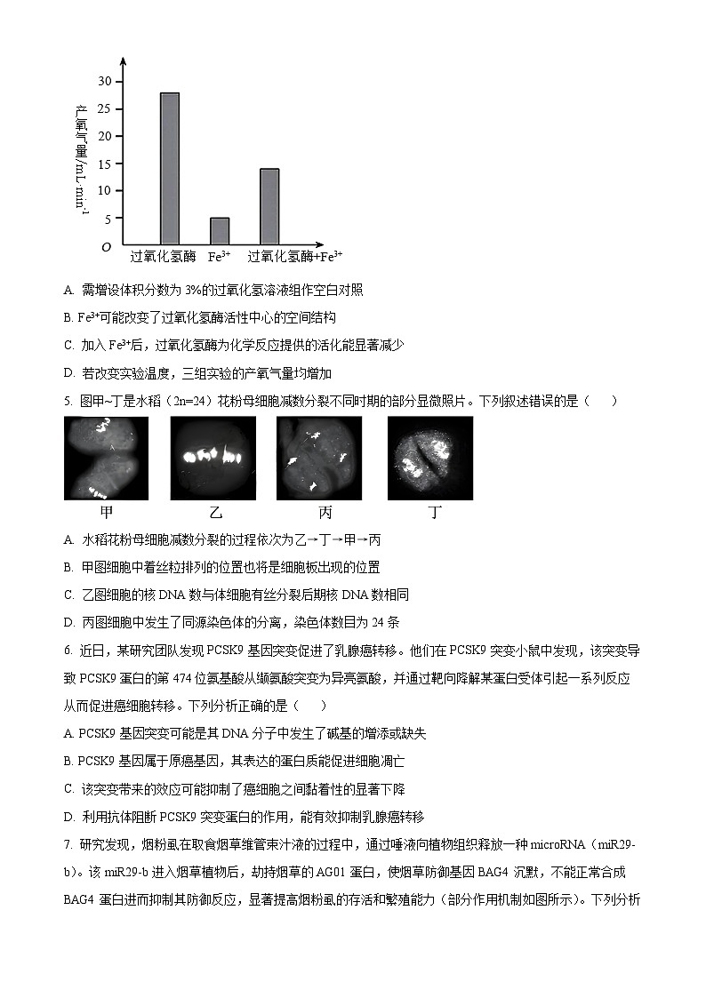 2025届山西省高三下学期考前适应性测试启航（一模）生物试卷  Word版无答案第2页
