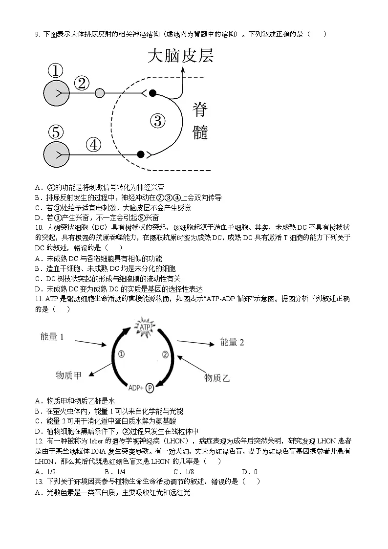 南阳市邓州市2024-2025学年高二上学期期末生物试卷第3页