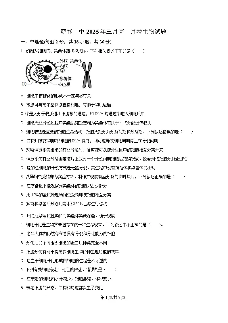 湖北省黄冈市蕲春县第一高级中学2024-2025学年高一下学期3月月考生物试题（原卷版）第1页