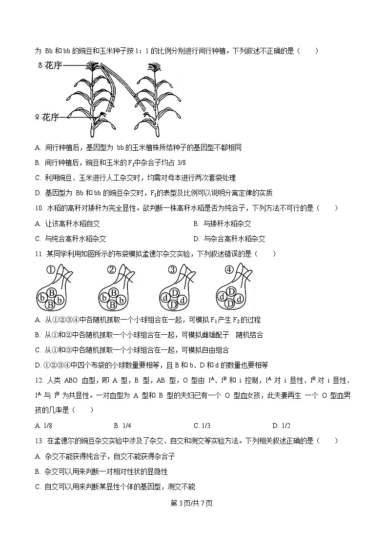 湖北省黄冈市蕲春县第一高级中学2024-2025学年高一下学期3月月考生物试题（原卷版）第3页