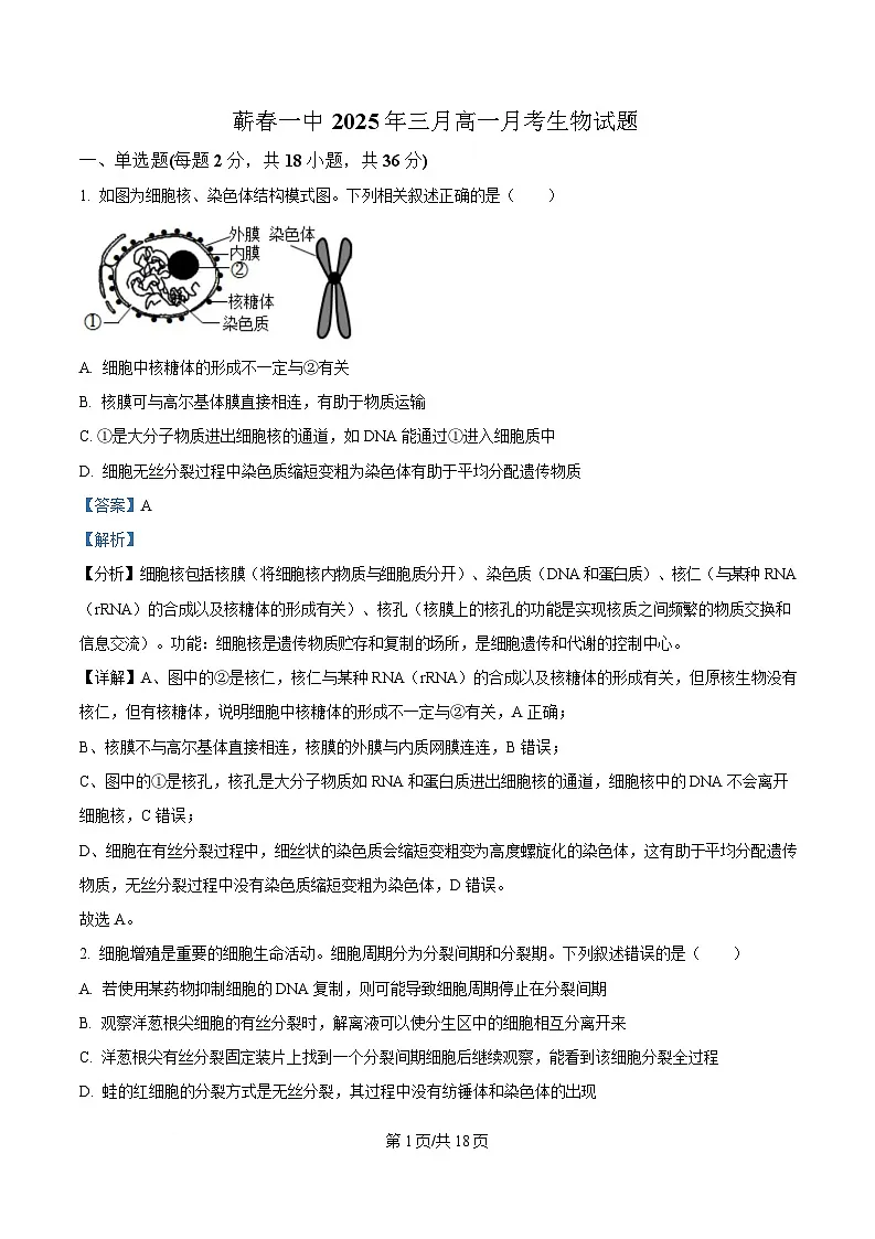 湖北省黄冈市蕲春县第一高级中学2024-2025学年高一下学期3月月考生物试题含解析第1页