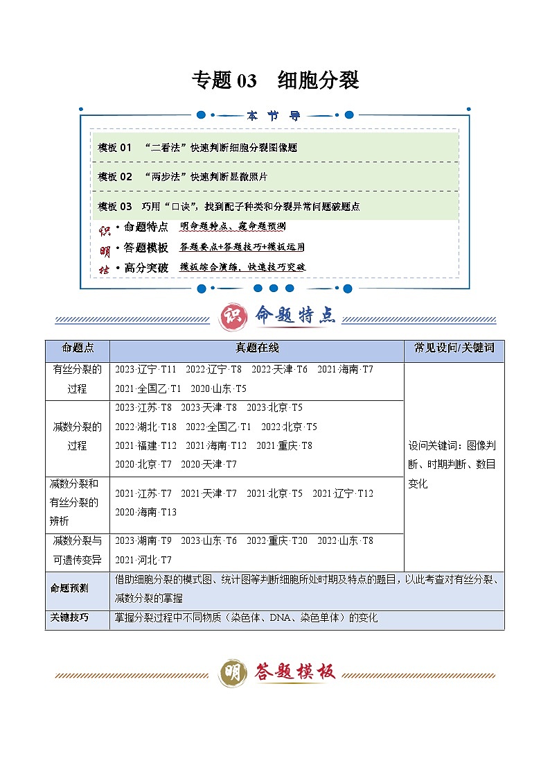 2025年高考生物答题技巧与模板构建 专题03 细胞分裂（原卷版）第1页