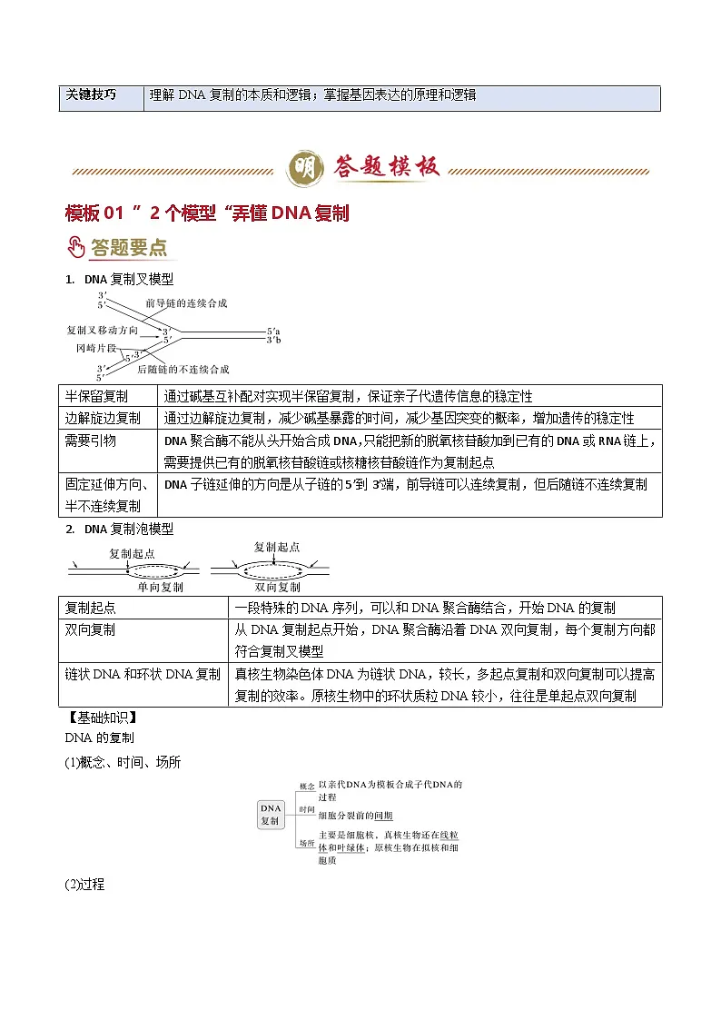 2025年高考生物答题技巧与模板构建 专题05 遗传的分子基础（原卷版）第2页