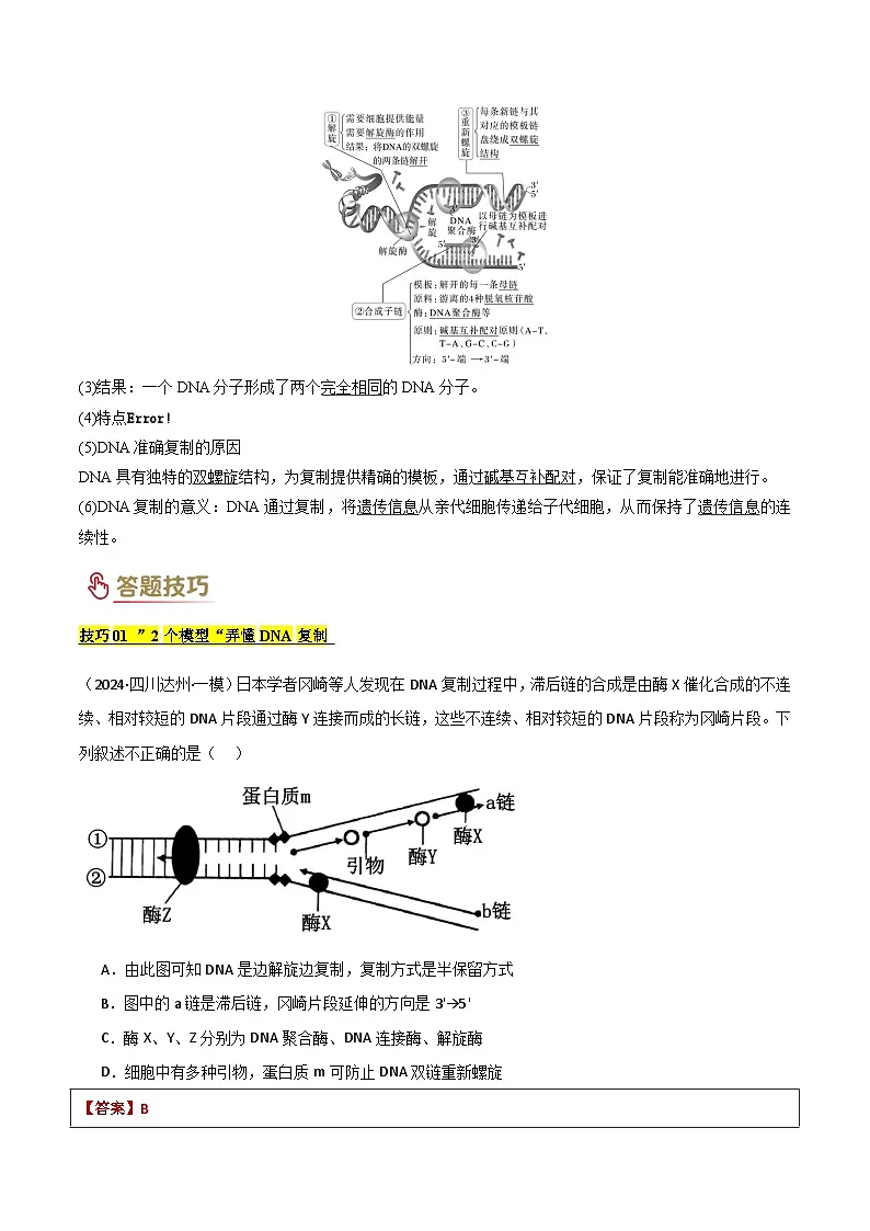 2025年高考生物答题技巧与模板构建 专题05 遗传的分子基础（原卷版）第3页