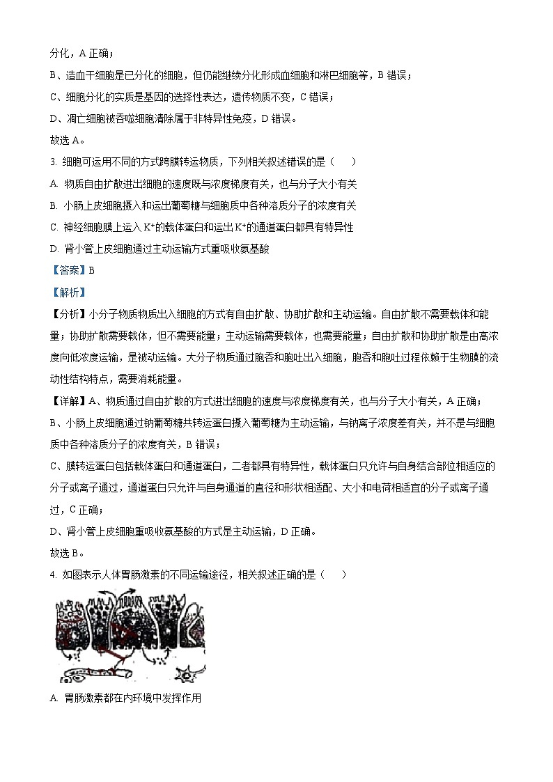 精品解析：2021年新高考江苏生物高考真题（解析版）第2页