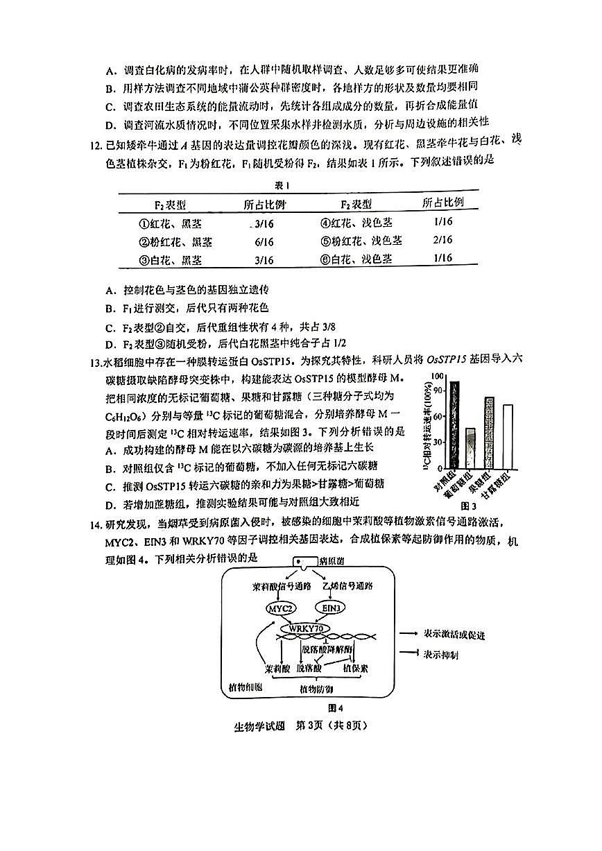 广东省江门市2025届高三下学期高考模拟第一次模拟-生物试题无答案第3页
