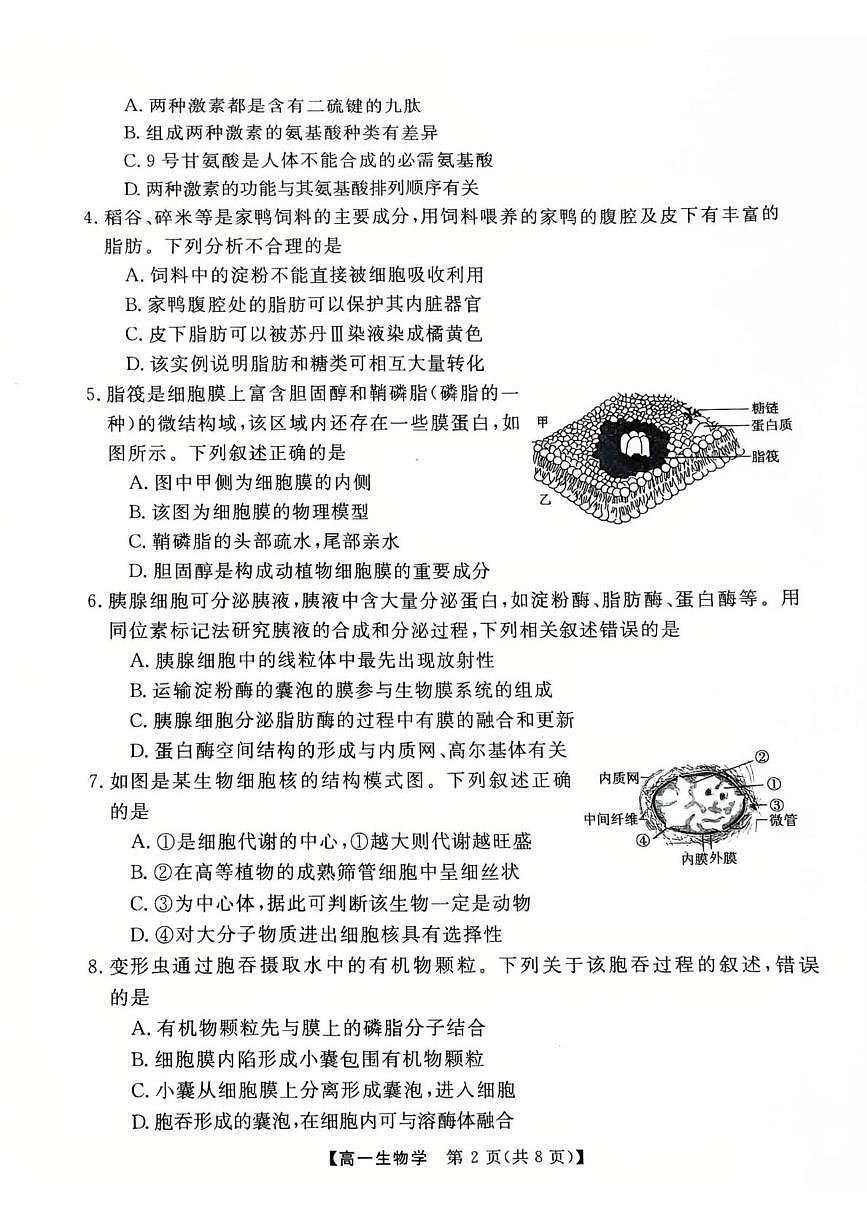 广东省茂名市高州市2024-2025学年高一上学期1月期末考试  生物（含答案）第2页