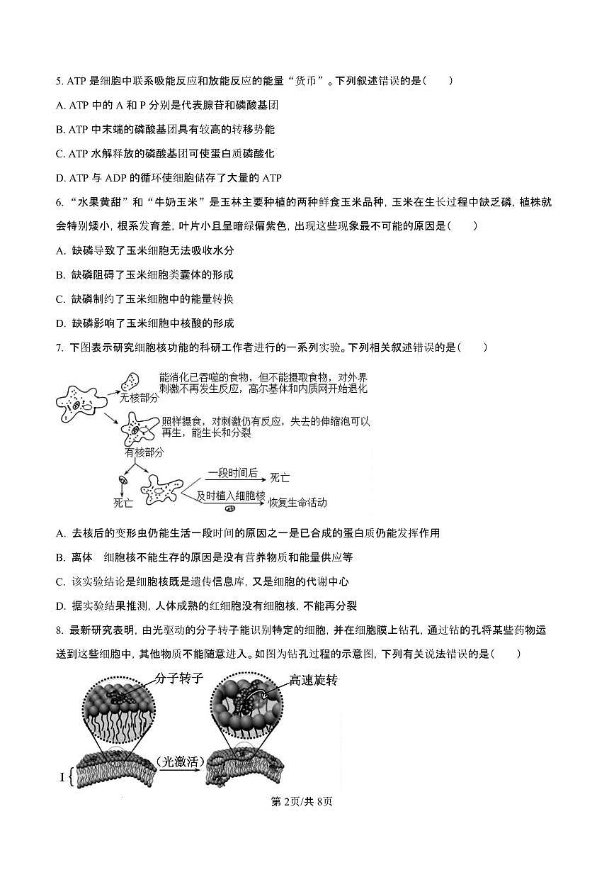 广西玉林市2024-2025学年高一上学期期末教学质量检测生物试卷（含答案）第3页