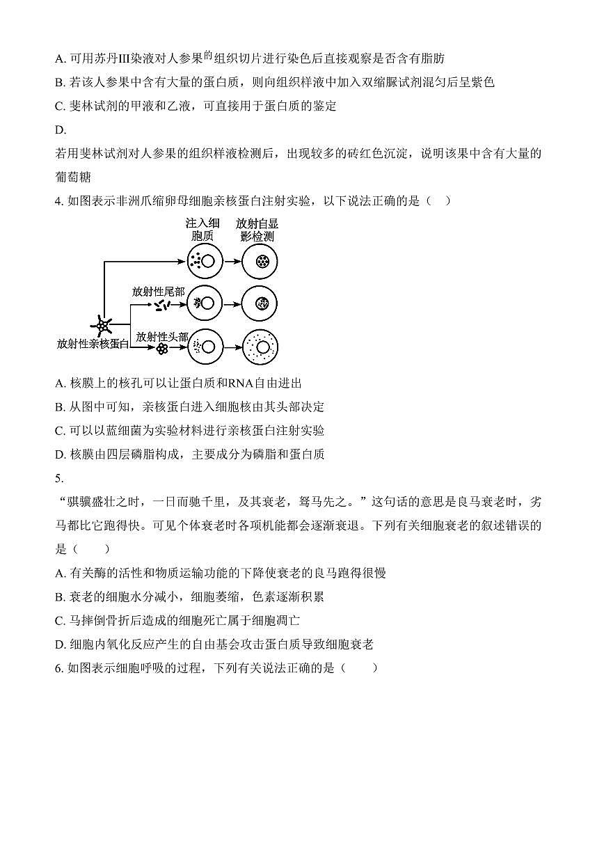 广西壮族自治区河池市2024-2025学年高一上学期1月期末生物试题（含答案）第2页