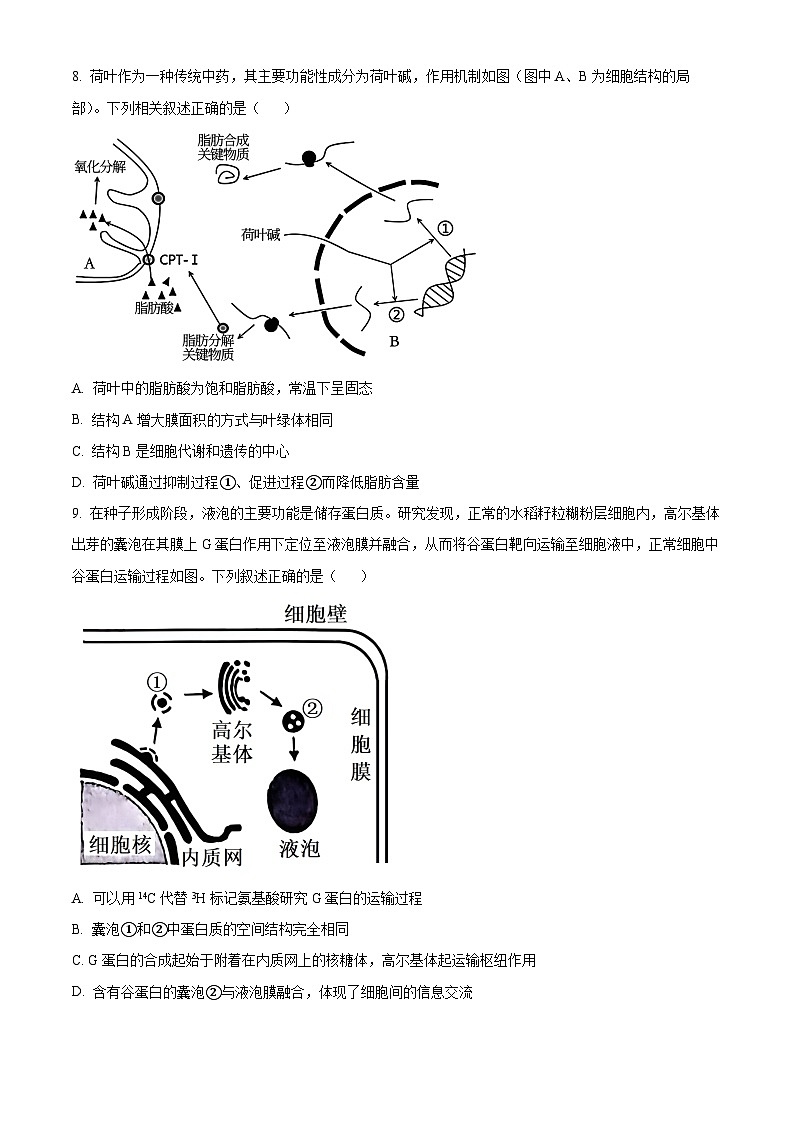 湖北省襄阳市第四中学2024—2025学年高一下学期2月考试生物学试题（含答案）第3页