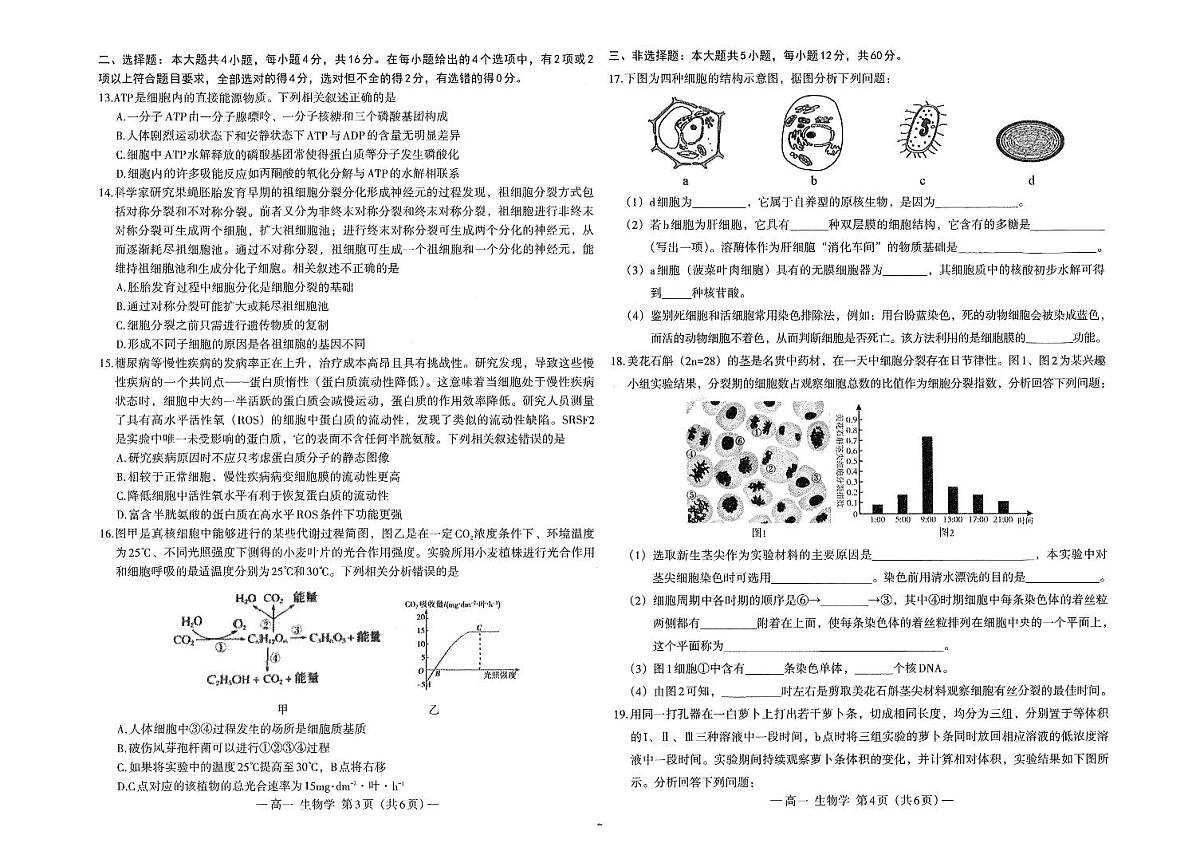 江西省南昌市2024-2025学年高一上学期1月期末考试  生物（含答案）第2页