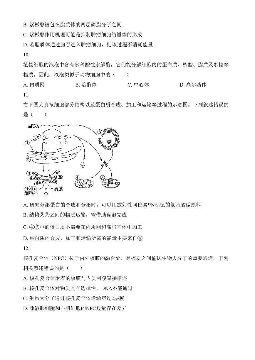 四川省绵阳市高中2024-2025学年高一上学期期末教学质量测试生物学试题（含答案）第3页