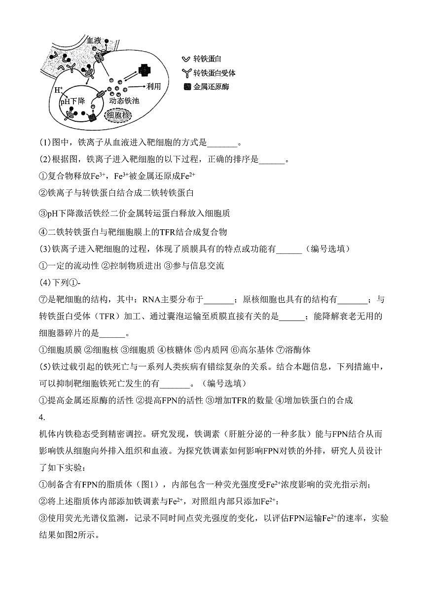 上海市闵行区2024-2025学年高一上学期期末生物试题（含答案）第3页