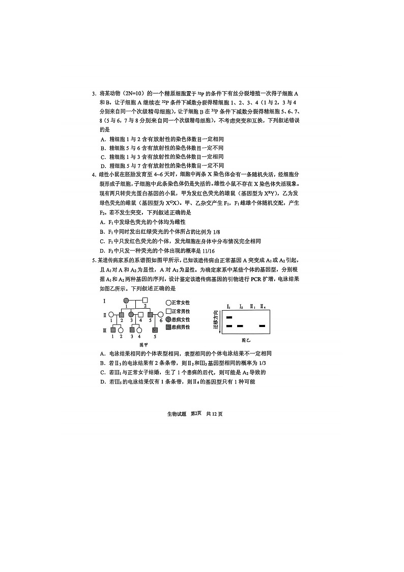 2024-2025学年下学期山东省实验中学2025届高三第五次诊断考试（3月一模）生物试卷含答案第2页