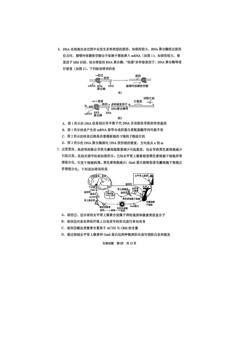 2024-2025学年下学期山东省实验中学2025届高三第五次诊断考试（3月一模）生物试卷含答案第3页