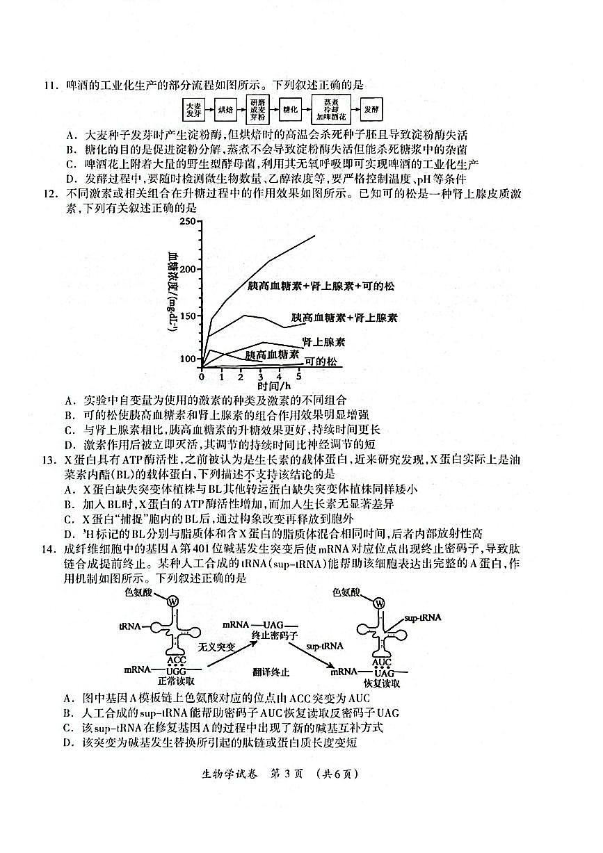 广西2025年3月高三第二次适应性考试生物试卷第3页