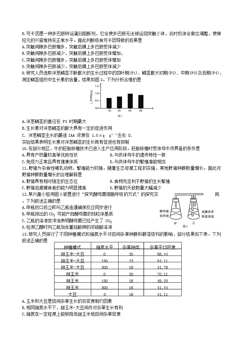 广东省深圳市2025届高三第一次调研考试生物试卷（Word版附答案）第2页