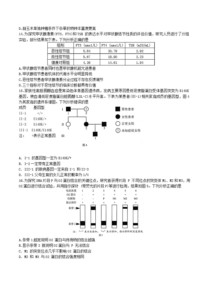 广东省深圳市2025届高三第一次调研考试生物试卷（Word版附答案）第3页