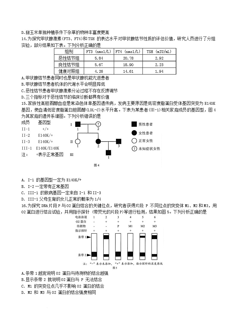 广东省深圳市2025届高三第一次调研考试生物试卷（Word版附答案）第3页