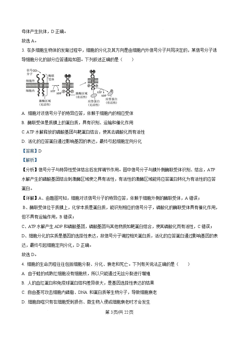 湖南省长沙铁路第一中学2024—2025学年高三下学期一模考试生物试题（解析版）第3页