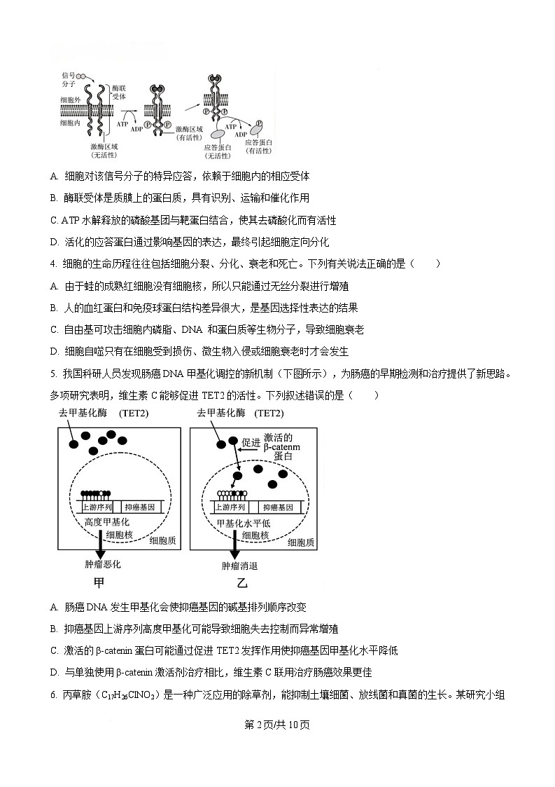 湖南省长沙铁路第一中学2024—2025学年高三下学期一模考试生物试题（原卷版）第2页