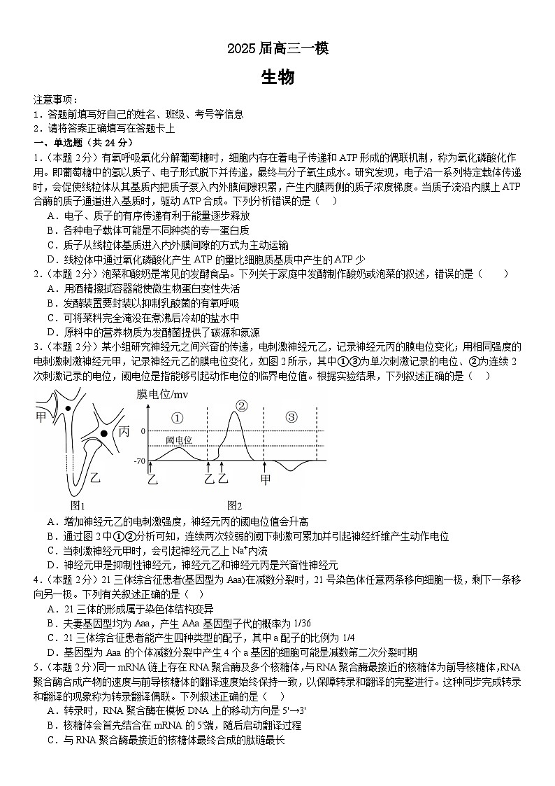 2025届湖南省长沙市天心区长沙市第十五中学高三下学期一模生物试题第1页