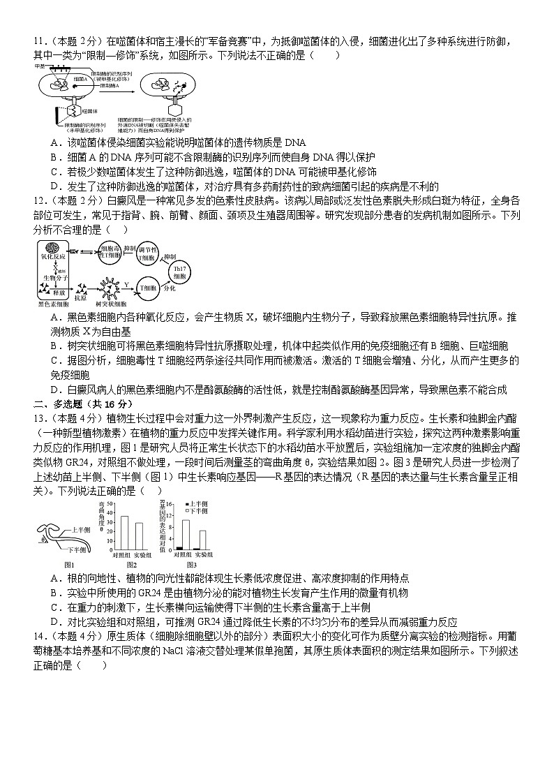 2025届湖南省常德市桃源县湖南省桃源县第一中学高三下学期一模生物试题第3页