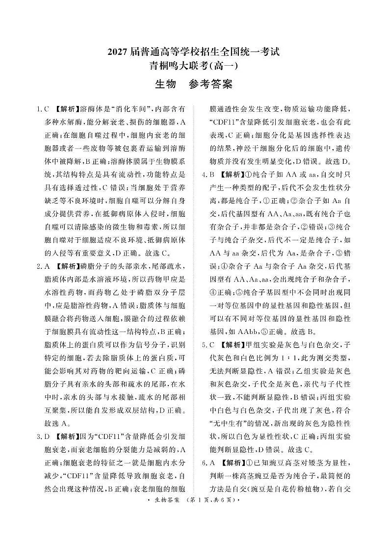 解析第1页
