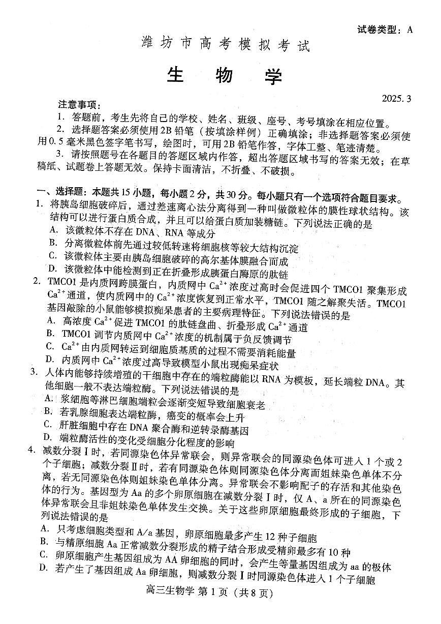 2025届山东省潍坊市高三一模考试 生物试题及答案第1页