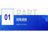 人教版2025高中生物必修一1.2细胞的多样性和统一性 课件