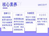 人教版2025高中生物必修一4.2主动运输和胞吞、胞吐 课件