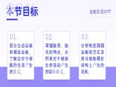 人教版2025高中生物必修一4.2主动运输和胞吞、胞吐 课件
