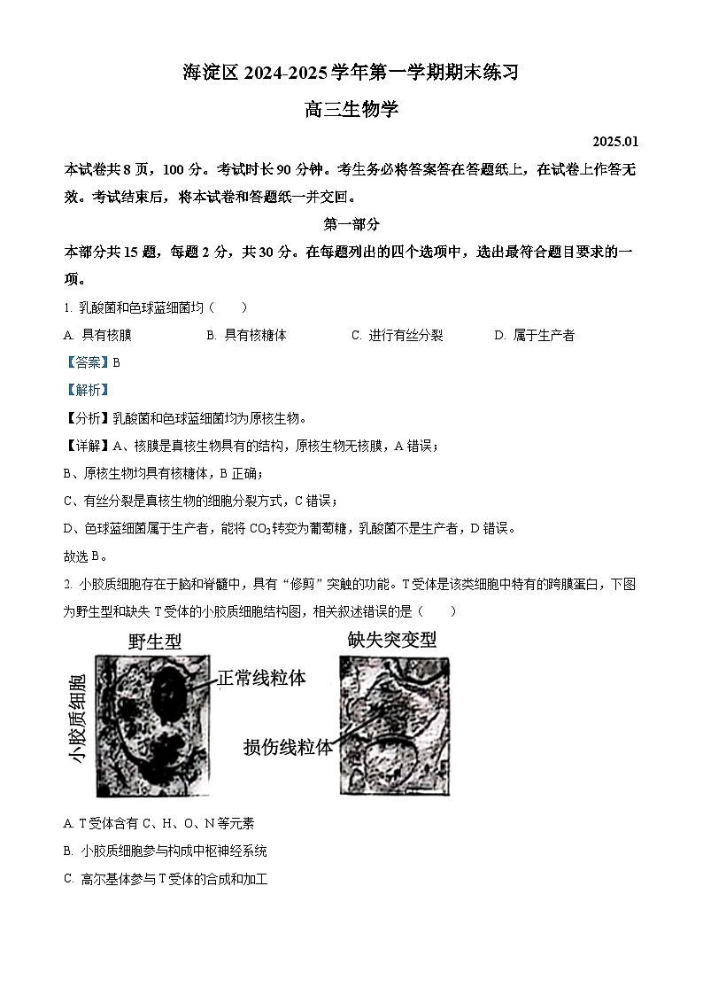 北京市海淀区2024-2025学年高三上学期1月期末考试生物试卷 Word版含解析第1页