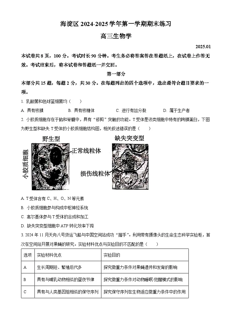 北京市海淀区2024-2025学年高三上学期1月期末考试生物试卷 Word版无答案第1页