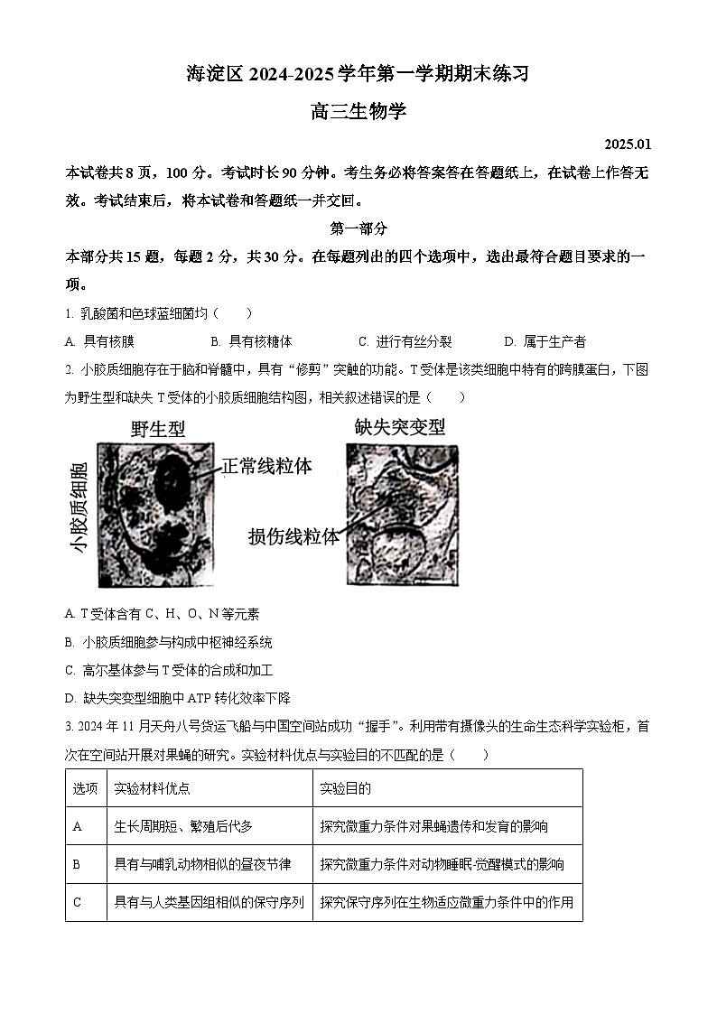 北京市海淀区2024-2025学年高三上学期1月期末考试生物试卷  Word版无答案第1页